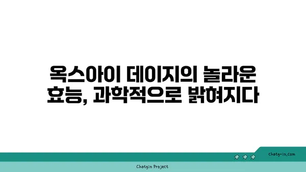 옥스아이 데이지의 놀라운 효능| 자연 치유를 위한 당신의 선택 | 옥스아이 데이지, 천연 치료, 건강, 허브, 민간요법