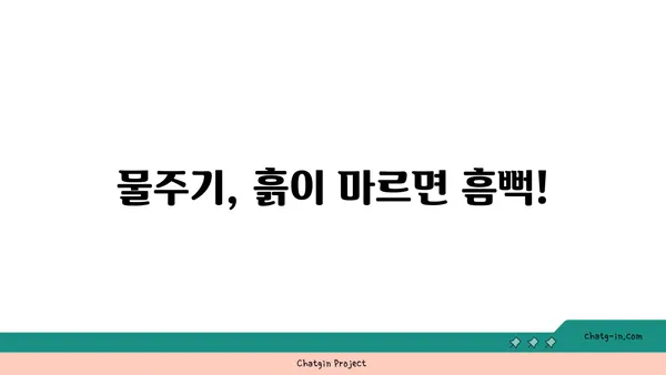 소피아 고무나무 키우기 완벽 가이드 |  물주기, 햇빛, 분갈이, 병충해 관리