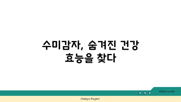 수미감자의 생리 활성 화합물| 건강 기능성과 연구 동향 | 수미감자, 건강, 효능, 기능성, 연구