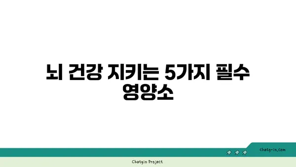 심뇌 건강을 위한 필수 영양소| 5가지 비타민 & 미네랄 | 건강 관리, 뇌 기능 강화, 영양 섭취