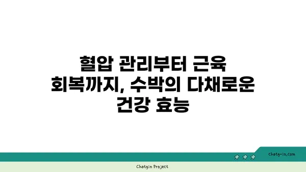 수박의 놀라운 건강 효과| 당신이 몰랐던 5가지 이점 | 수박, 건강, 효능, 비타민, 항산화