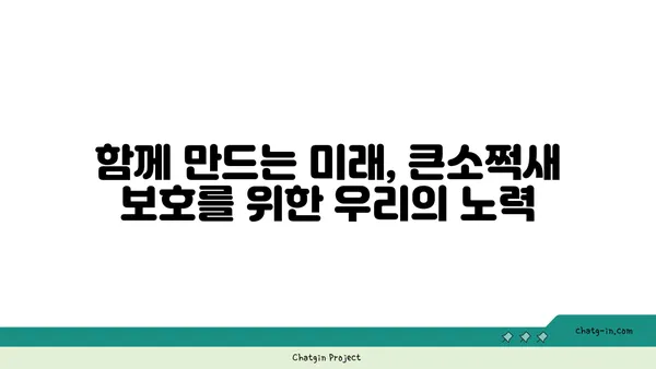 큰소쩍새의 비밀| 멸종위기종, 생태, 그리고 보호 | 소쩍새, 야생동물, 멸종위기, 생태계, 보호