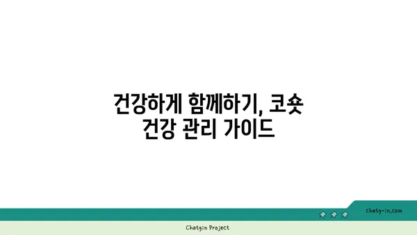 코리안 숏헤어 완벽 가이드| 성격, 건강, 관리, 분양까지 | 고양이, 털, 종류, 입양