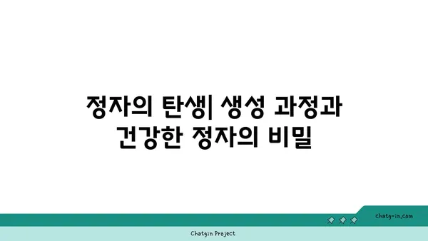 정자의 모든 것| 생성, 기능, 건강, 그리고 불임 | 남성 건강, 생식, 정액 검사, 불임 치료