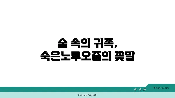 숙은노루오줌의 매력, 꽃말과 함께 만나보세요 | 야생화, 꽃말, 숙은노루오줌, 식물 정보