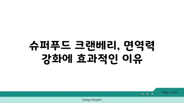 크랜베리의 놀라운 효능 7가지 | 건강, 슈퍼푸드, 항산화, 면역력, 겨울철 건강