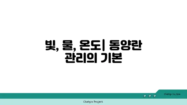 동양란의 매력에 빠지다| 종류별 특징과 관리 가이드 | 동양란, 난초, 난 종류, 재배, 관리, 키우기