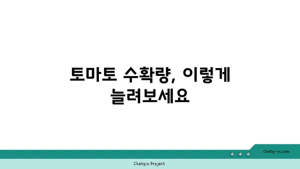 토마토 수확량 극대화| 정원에서 더 많은 토마토를 얻는 7가지 비법 | 토마토 재배, 풍년, 정원 가꾸기