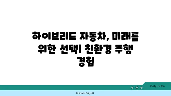 하이브리드 자동차 선택 가이드| 나에게 딱 맞는 차량 찾는 팁 | 하이브리드 자동차 비교, 연비, 장단점, 구매 가이드