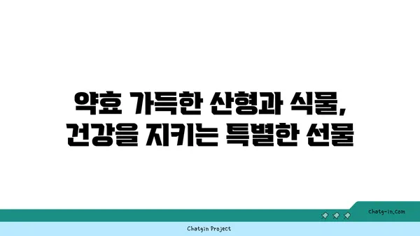 산형과 식물의 매력적인 특징과 종류 | 산형과, 약용식물, 관상식물, 식용식물