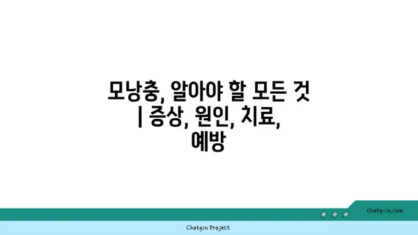 모낭충, 알아야 할 모든 것 | 증상, 원인, 치료, 예방