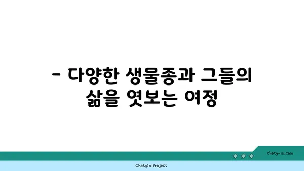 지구의 지리학| 다양한 풍경과 특징 | 지형, 기후, 생물, 문화, 여행