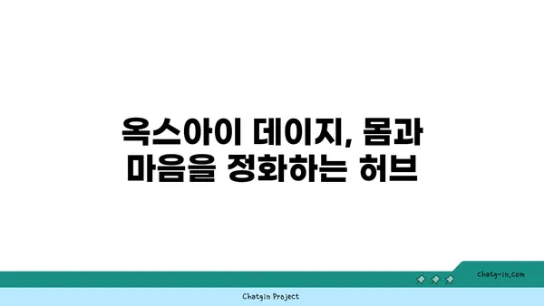 옥스아이 데이지의 놀라운 효능| 자연 치유를 위한 당신의 선택 | 옥스아이 데이지, 천연 치료, 건강, 허브, 민간요법