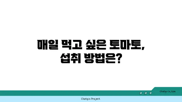 토마토의 놀라운 효능| 건강과 즐거움을 위한 7가지 이유 | 토마토, 건강, 다이어트, 영양, 섭취, 레시피