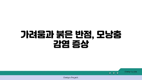 모낭충, 알아야 할 모든 것 | 증상, 원인, 치료, 예방