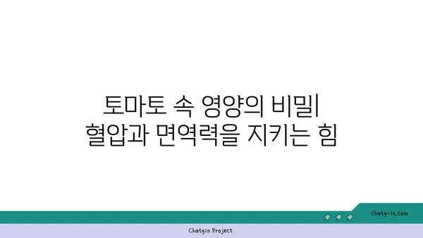 토마토의 약리학적 효능| 전통 의학에서 현대적 활용까지 | 건강, 영양, 항산화, 혈압, 면역