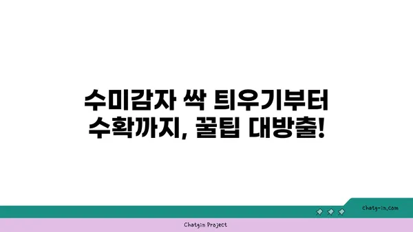 수미감자 집에서 키우기| 초보자를 위한 쉬운 재배 가이드 | 수미감자, 감자 재배, 텃밭, 베란다 농장