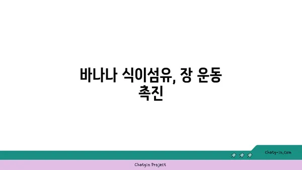 바나나로 장 건강 지키는 5가지 방법 | 장 건강, 바나나 효능, 식이섬유, 소화 개선