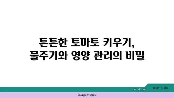 토마토 재배 가이드| 씨앗부터 수확까지 완벽하게 배우는 7단계 | 토마토, 재배 방법, 텃밭, 베란다, 농장