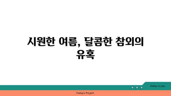 참외를 특별하게 만드는 5가지 독특한 매력 | 참외, 특징, 맛, 효능, 재배