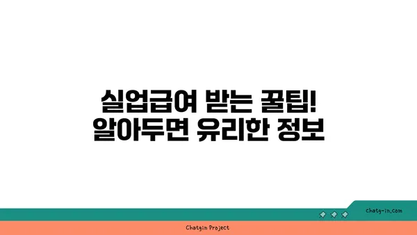 권고사직 후에도 혜택 받자! 실업급여 신청 완벽 가이드 | 권고사직, 실업급여, 신청 방법, 자격, 기간, 팁