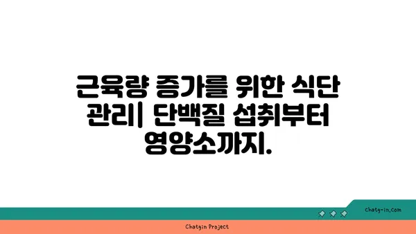 스테로이드 없이 근육 키우기| 자연스럽게 근성장을 위한 7가지 전략 | 근육량 증가, 운동 루틴, 식단 관리, 영양 보충제