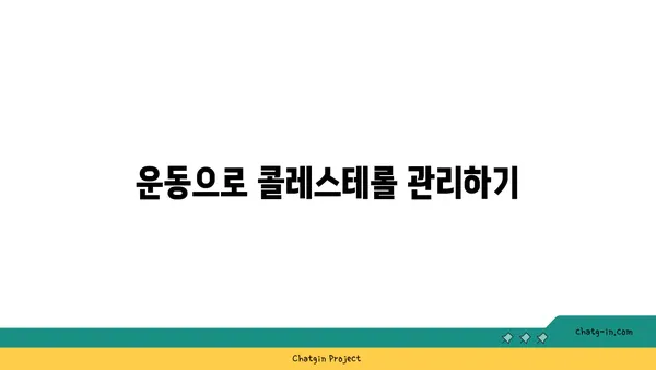 콜레스테롤 낮추는 3가지 실용적인 팁| 건강한 식단 & 운동 | 콜레스테롤 관리, 건강, 심혈관 질환 예방