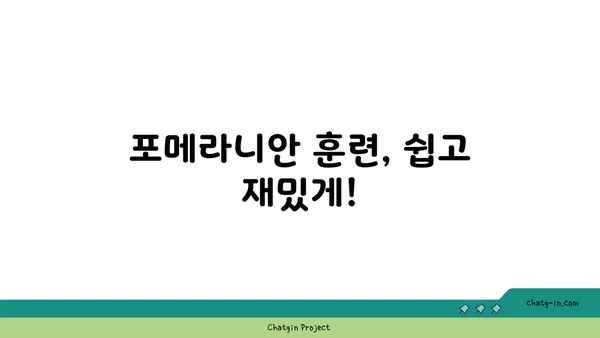 포메라니안 입양 전 알아야 할 모든 것 | 포메라니안 분양, 성격, 건강, 관리, 훈련