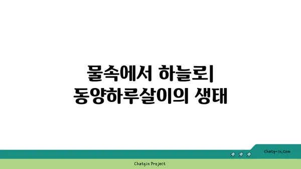 동양하루살이| 생태와 행동, 그리고 그들의 아름다운 비행 | 곤충, 하루살이, 생물학, 자연