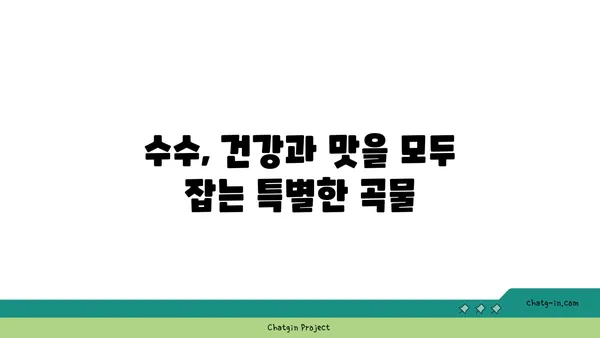 수수의 모든 것| 재배부터 요리까지 완벽 가이드 | 수수 효능, 수수 떡, 수수죽, 수수 밭, 수수 재배, 수수 요리법