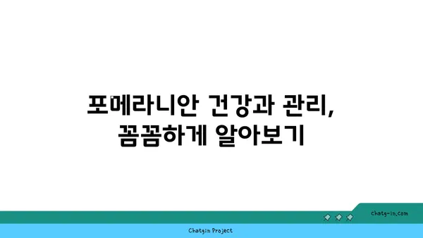 포메라니안 입양 전 알아야 할 모든 것 | 포메라니안 분양, 성격, 건강, 관리, 훈련