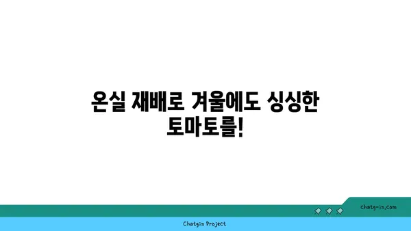 겨울에도 싱싱한 토마토를? 🥶  추위에도 맛있는 토마토 재배 가이드 | 겨울 토마토, 재배 방법, 온실 재배, 토마토 종류