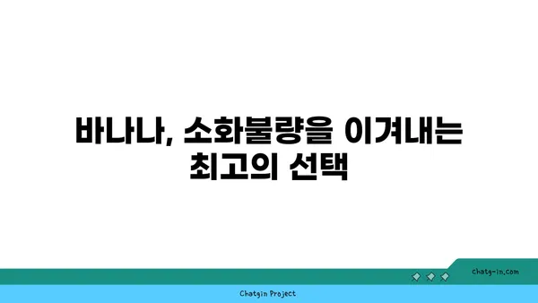 바나나의 놀라운 효능| 소화 건강 개선을 위한 5가지 방법 | 바나나, 소화, 변비, 건강, 식이섬유