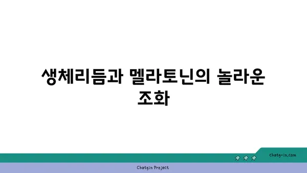 멜라토닌으로 수면-각성 주기를 조절하는 효과적인 방법| 숙면을 위한 맞춤 가이드 | 수면장애,  멜라토닌 효능, 생체리듬