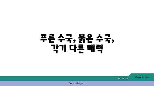 수국의 꽃말| 가을의 의미와 다양한 색깔별 해석 | 수국 꽃말, 가을, 색깔별 의미, 꽃말 해설