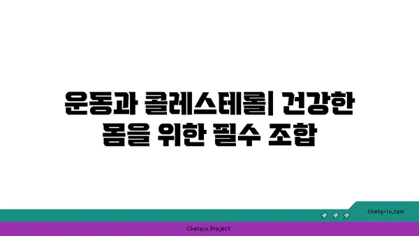 콜레스테롤 관리의 3가지 비결| 건강한 삶을 위한 지침 | 콜레스테롤, 건강, 식단, 운동, 생활 습관