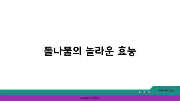 돌나물 효능과 섭취 방법 | 건강, 채소, 요리, 레시피