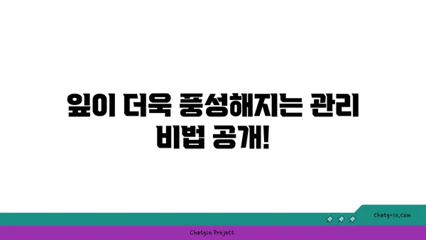 소피아 고무나무 키우기 완벽 가이드 |  물주기, 햇빛, 분갈이, 병충해 관리