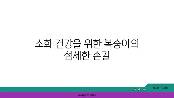 복숭아의 즙이 많은 세계| 영양학적 가치와 건강상의 이점 | 복숭아 효능, 복숭아 영양 정보, 복숭아 건강 혜택