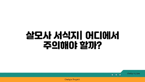 살모사, 당신이 알아야 할 모든 것 | 뱀, 독사, 한국, 서식지, 특징, 위험, 구별, 응급처치