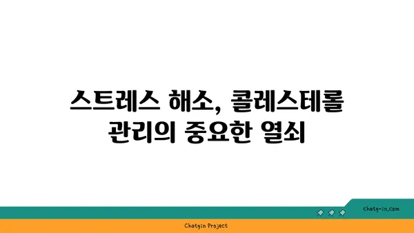 콜레스테롤 수치를 줄이는 3가지 방법| 건강한 식단, 꾸준한 운동, 스트레스 관리 | 건강, 콜레스테롤, 식습관, 운동, 스트레스