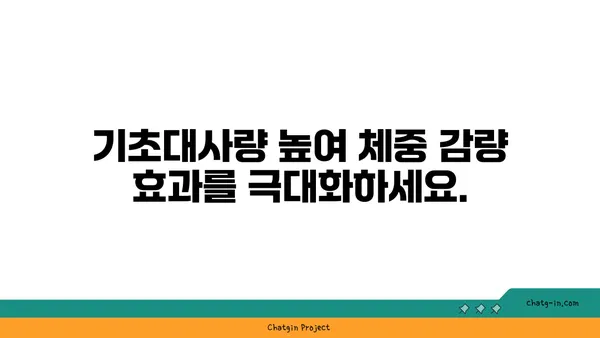 나에게 딱 맞는 기초대사량 계산법 & 효과적인 증진 방법 | 체중 감량, 건강 관리, 신진대사