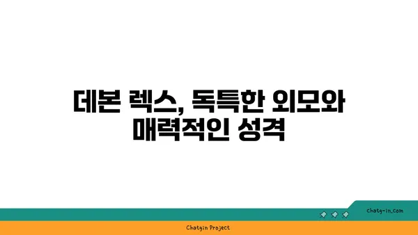 데본 렉스 고양이 | 성격, 특징, 그리고 키우기 | 데본 렉스, 털 없는 고양이, 반려묘