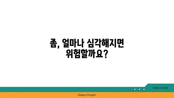 좀 때문에 망가지는 내 집, 얼마나 손해볼까요? | 숨겨진 비용 폭로, 좀 피해 복구 가이드