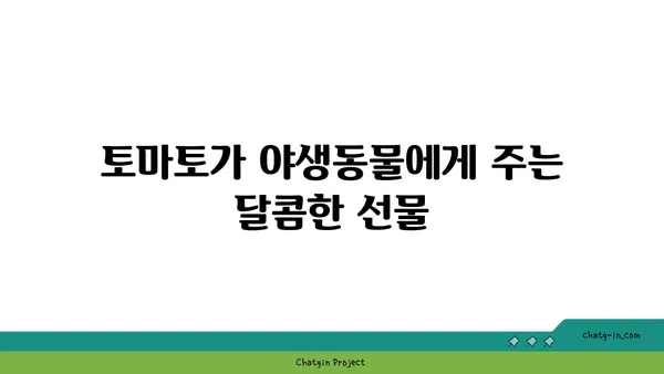 토마토, 생태계의 숨은 영웅| 생태계 역할과 야생동물에 미치는 영향 | 토마토, 생태계, 야생동물, 생태학적 중요성