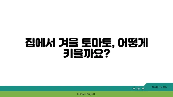 겨울에도 싱싱한 토마토를? 🥶  추위에도 맛있는 토마토 재배 가이드 | 겨울 토마토, 재배 방법, 온실 재배, 토마토 종류