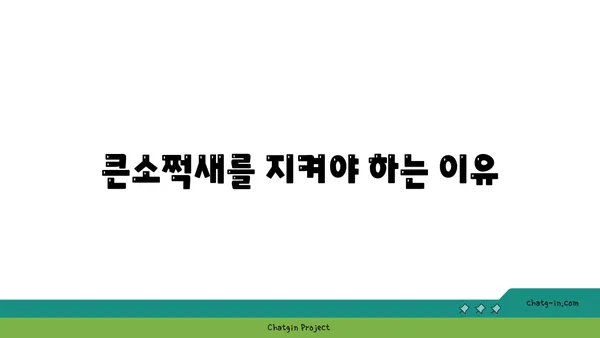 큰소쩍새의 비밀| 멸종위기종, 생태, 그리고 보호 | 소쩍새, 야생동물, 멸종위기, 생태계, 보호