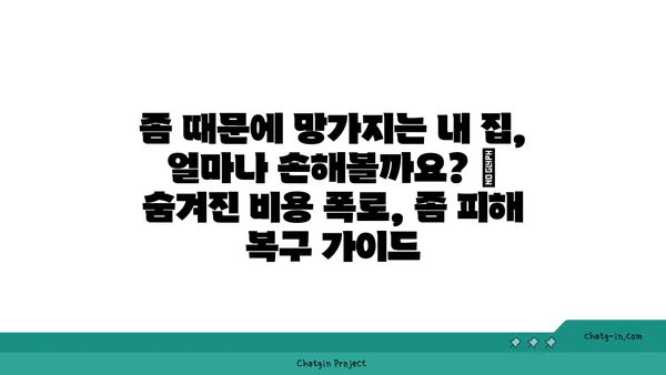 좀 때문에 망가지는 내 집, 얼마나 손해볼까요? | 숨겨진 비용 폭로, 좀 피해 복구 가이드