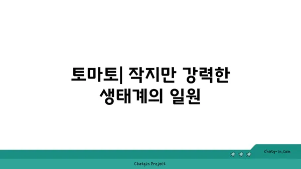 토마토, 생태계의 숨은 영웅| 생태계 역할과 야생동물에 미치는 영향 | 토마토, 생태계, 야생동물, 생태학적 중요성