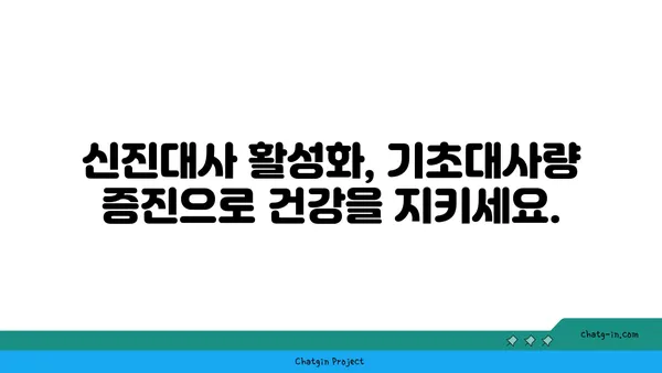 나에게 딱 맞는 기초대사량 계산법 & 효과적인 증진 방법 | 체중 감량, 건강 관리, 신진대사